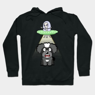 Funny miniature schnauzer is being abducted by aliens Hoodie